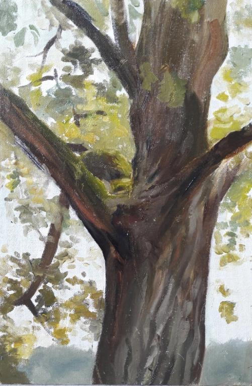 Картина "Дерево" холст на подрамнике масло 30х20 см Художник Светлана Юрова
