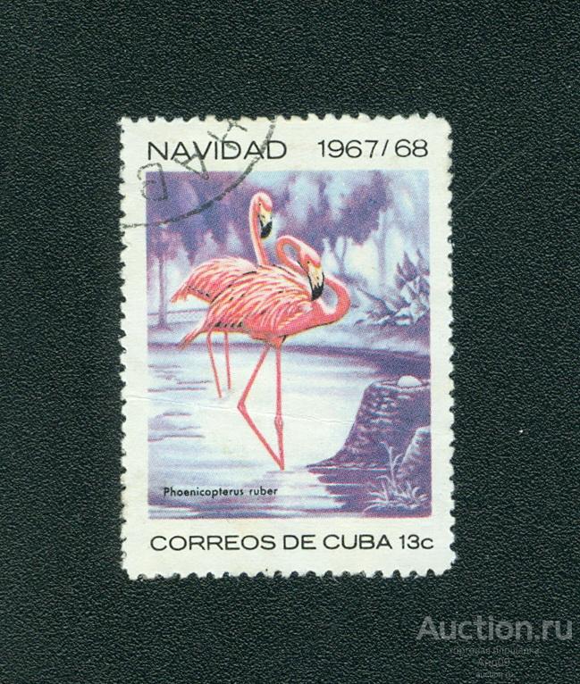1967 г. Куба - Карибский фламинго (1183е)
