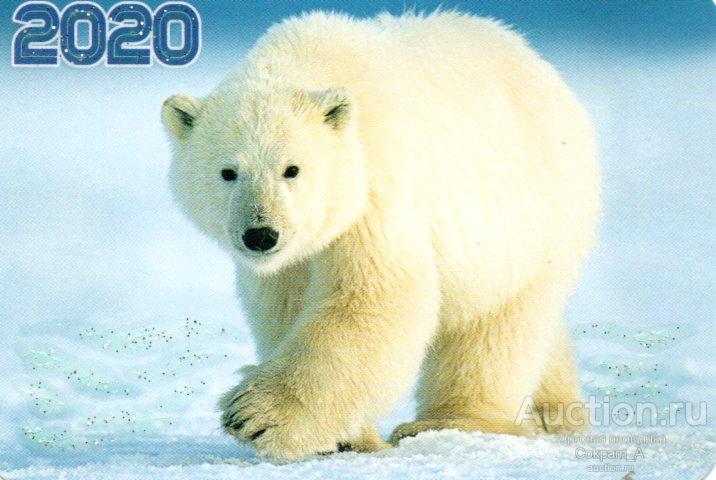 010072020001009_Россия.2020.Фауна.Животные.Белый медведь