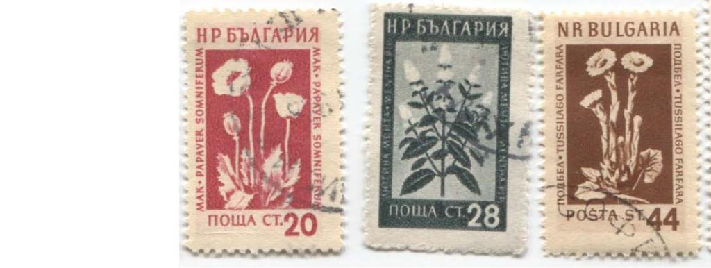1953 болгария Цветы 3 м.гаш