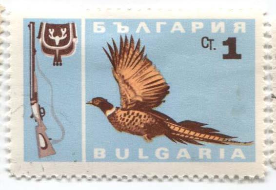1967 Болгария охота Фазан.гаш
