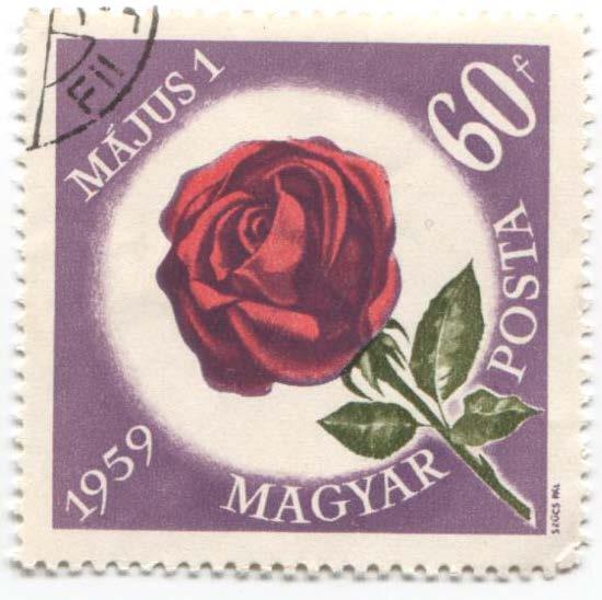 1959 Венгрия День труда 1 мая Розы гибрид 2м.гаш