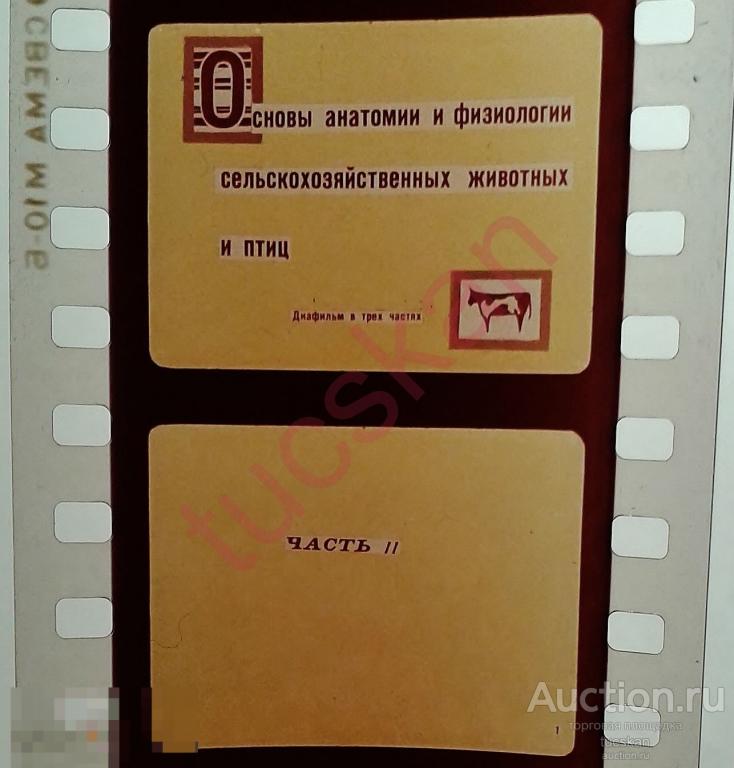 Диафильм Основы анатомии и физиологии сельхоз животных и птиц, 2 часть, 1980 