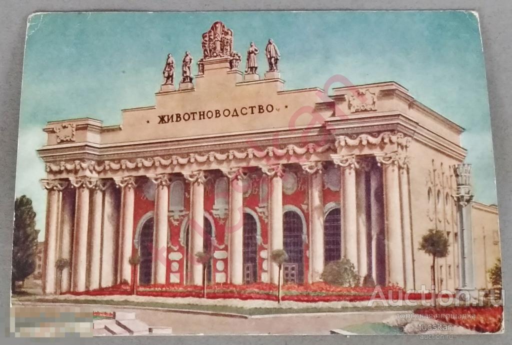 Открытка ВСХВ Павильон животноводства 1954 
