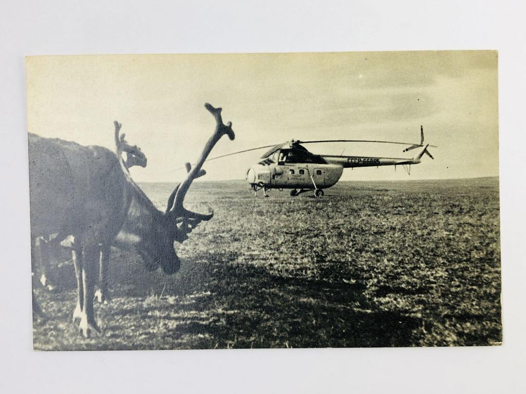 Коми АССР. Вторжение вертолета на оленье пастбище. Открытка. 1966. Советский художник