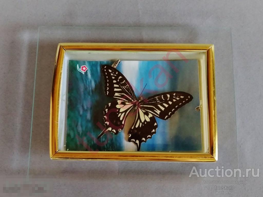 Настенное панно сувенир бабочка 9х13 см 