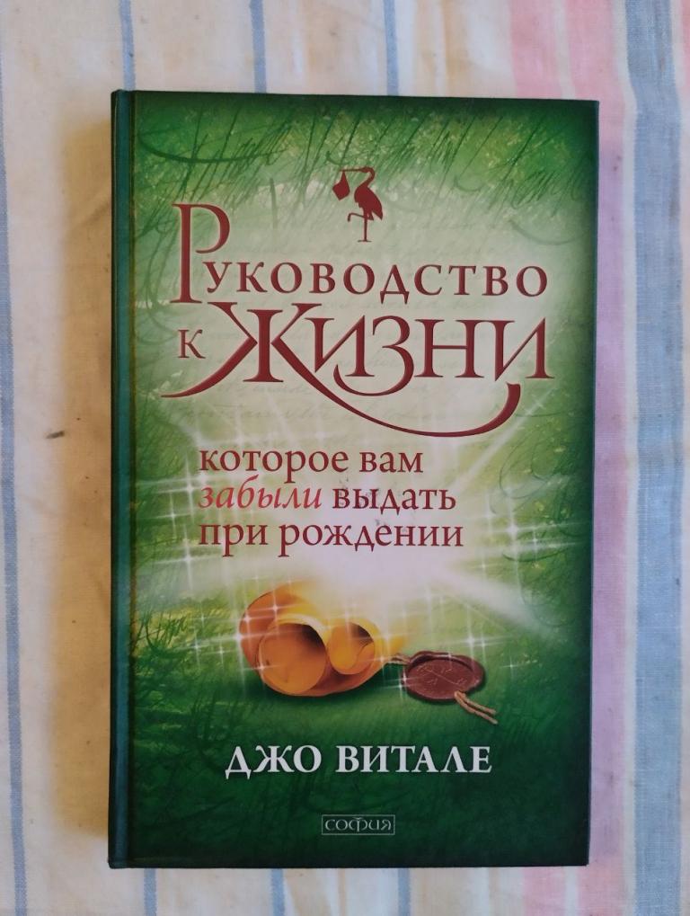 Джо Витале. Руководство к жизни которое вам забыли дать при рождении