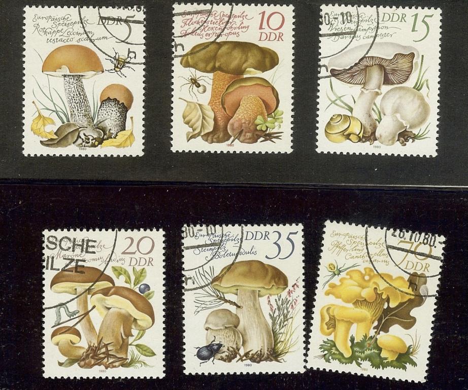 ГДР, Восточная Германия 1980г. MI 2551-36 Съедобные грибы Европы гашение