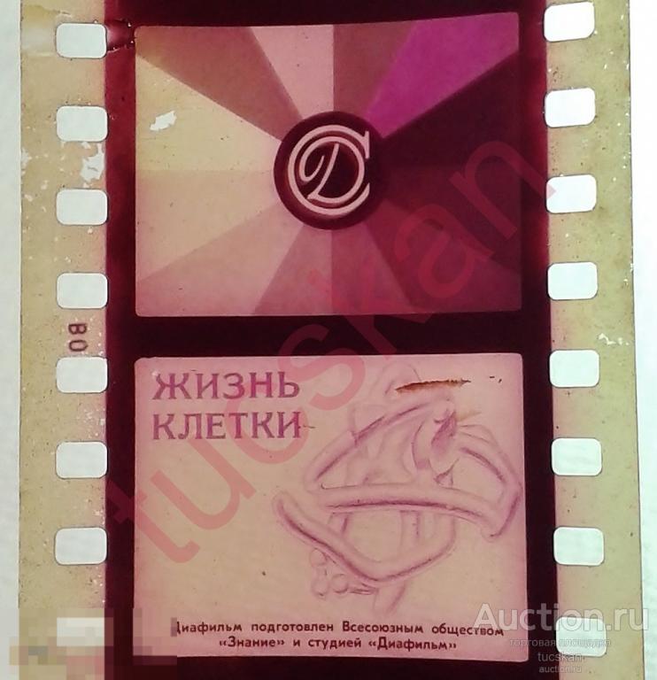 Диафильм Жизнь клетки ORWO 1970 