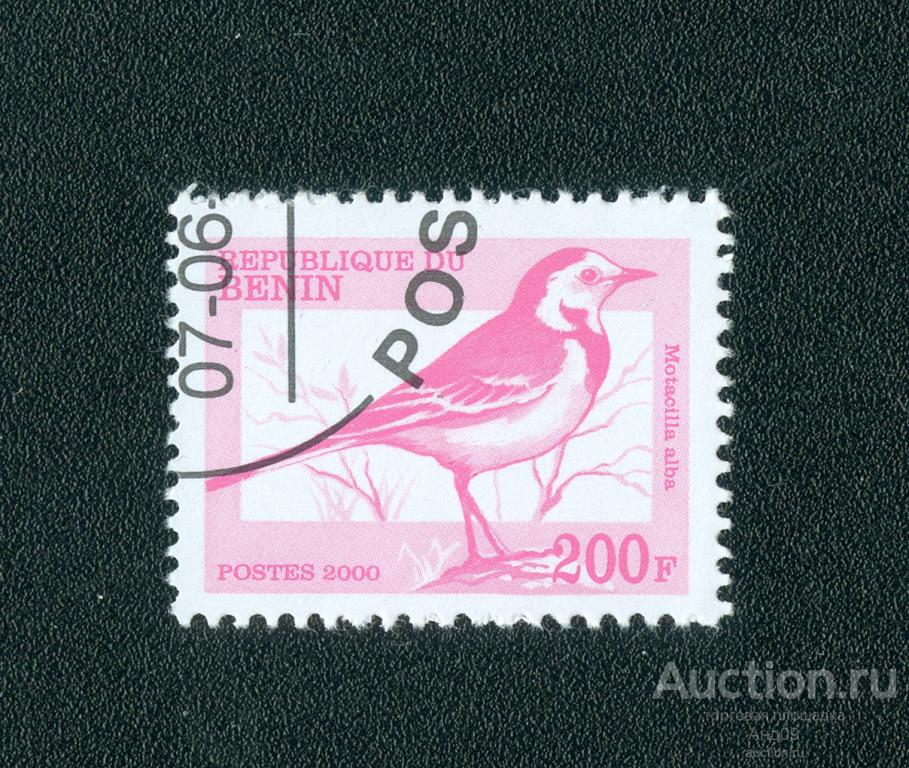 2000 г. Бенин - Белая трясогузка (1253е)