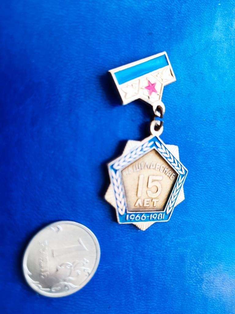 Знак Торговый трест Башглавснаб 15 лет Башкирия Уфа 1981 БАССР.  БЕЗ ИГЛЫ