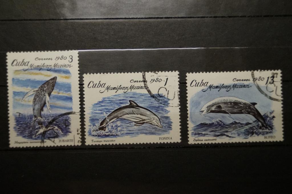 Куба 1980г. Дельфины 3 марки
