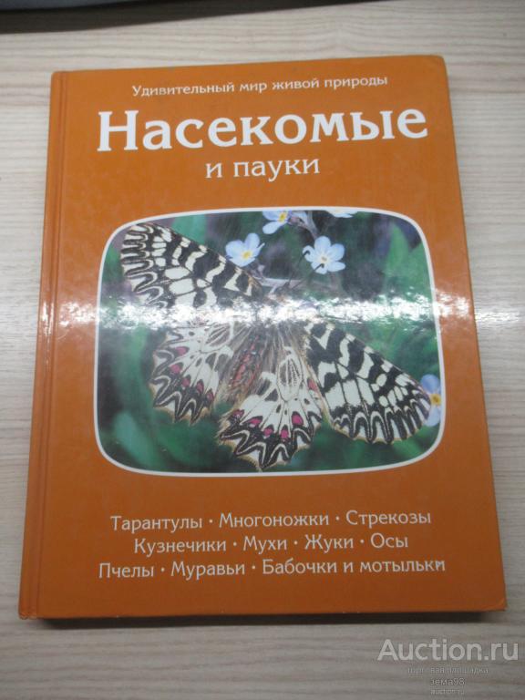 "Насекомые и пауки". 1997 год.