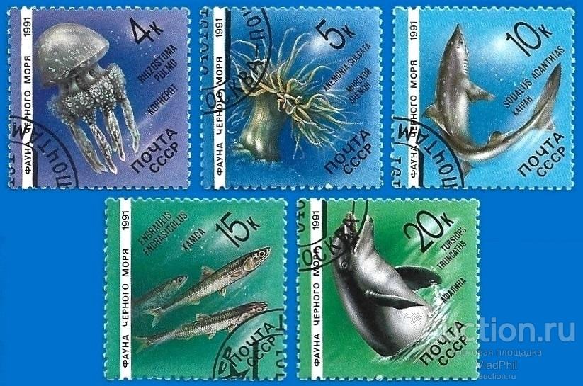 1991 СССР 6279-6283 (Z 6214-6218) Фауна Чёрного моря. Гаш. (CTO)