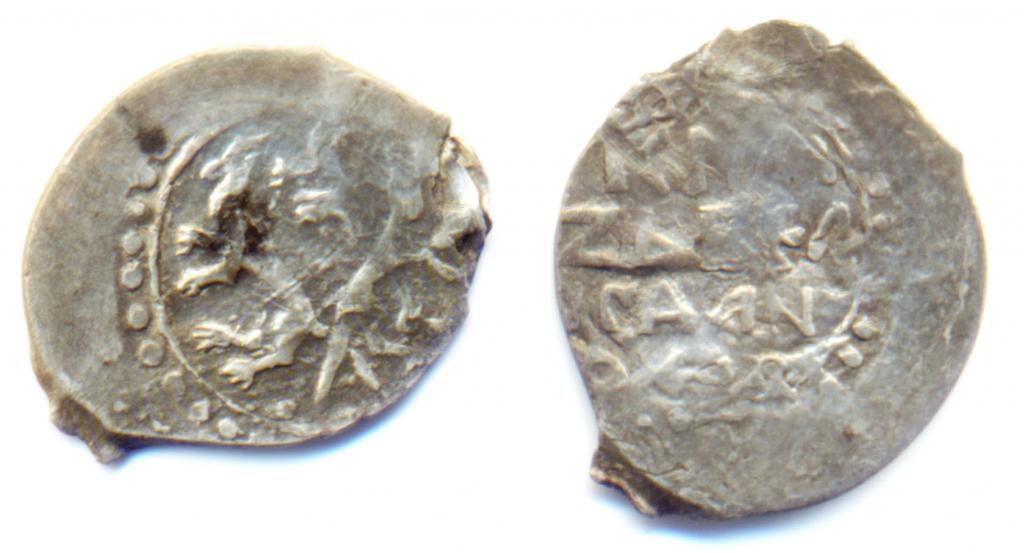 Чешуя денга деньга Суздальско-Нижегородского княжества Даниил Борисович "собачки"