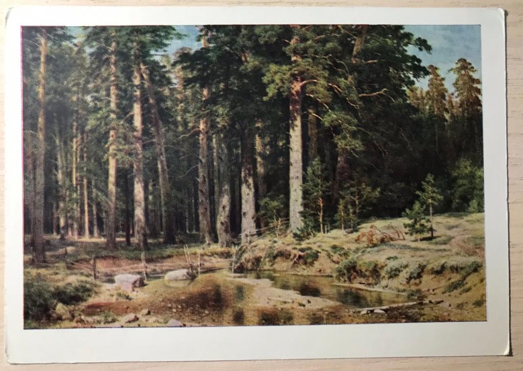 Художник И. Шишкин. КОРАБЕЛЬНАЯ РОЩА. Советский художник, 1965г., чистая.