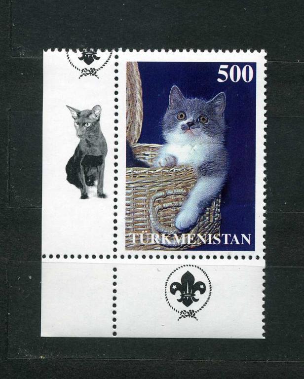 Туркменистан. Кошки. Домашние кошки. С УГЛОВЫМИ ПОЛЯМИ.**