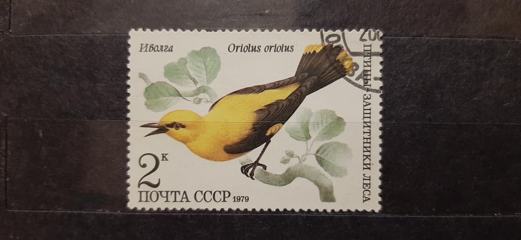 СССР Птицы защитники леса иволга 1979 гашёная