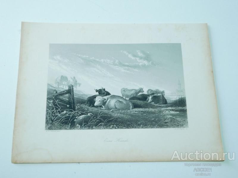 Гравюра: Trina. Leipzig - Drezden. A. H. Payne около 1850-1860 г.