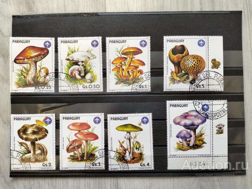 Парагвай. Флора. Грибы. 1985