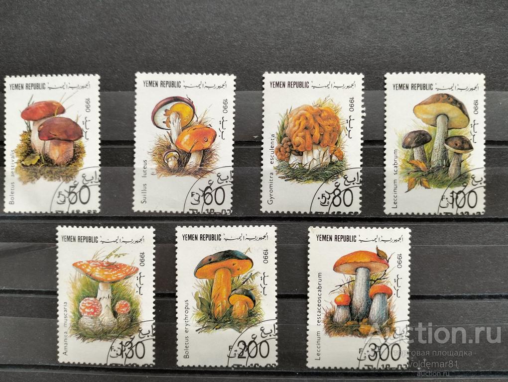 Йемен. Флора. Грибы. 1990