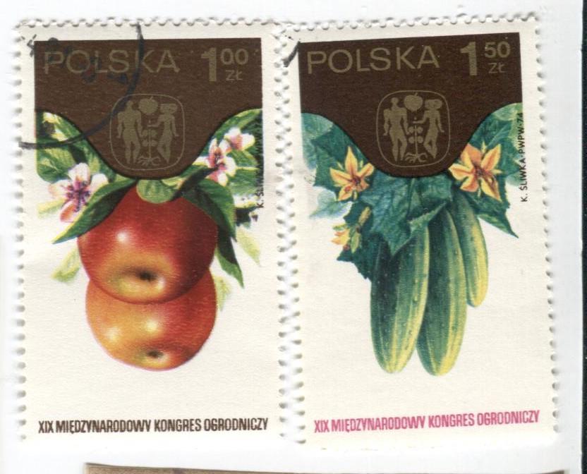 1974 Польша международный конгресс огородников 2м Огурцы и Яблоки.гаш