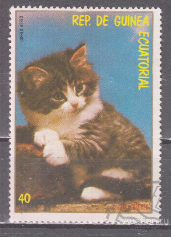 Экваториальная Гвинея 1978 котенок Mi1400