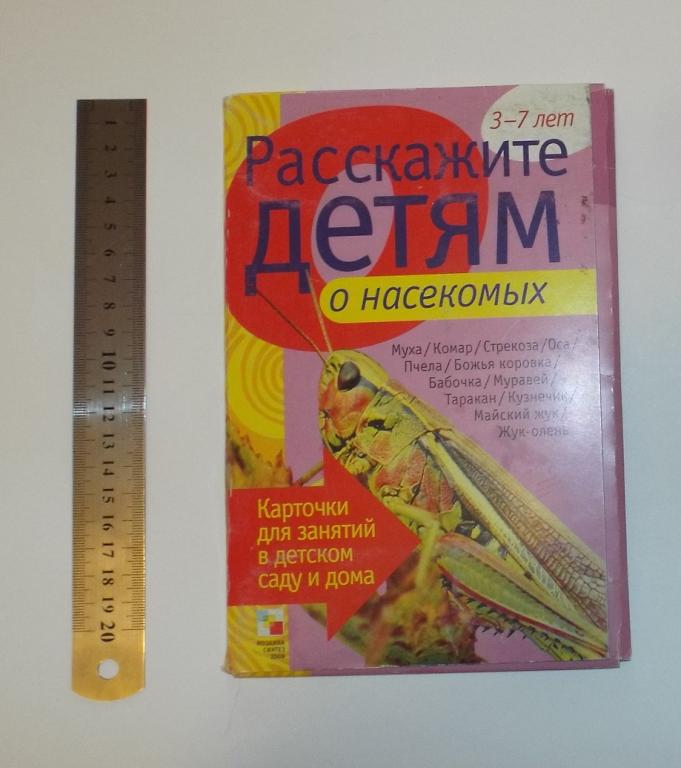 Расскажите детям о насекомых. Карточки для занятий в детском саду и дома (насекомые)