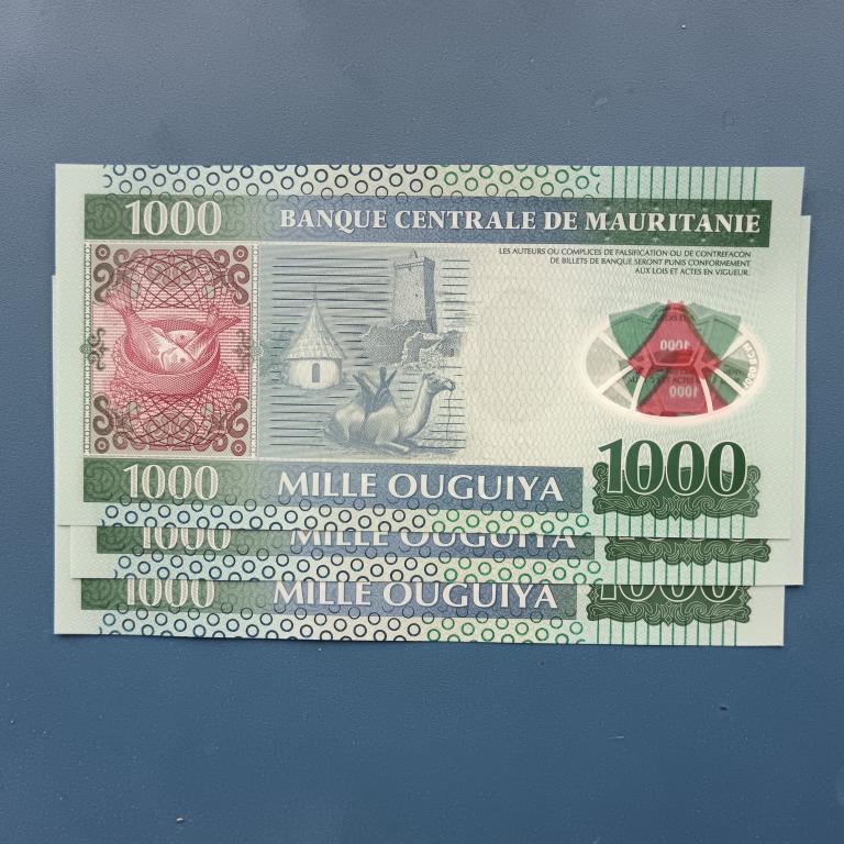 Мавритания 1000 угий 2014 год   пресс