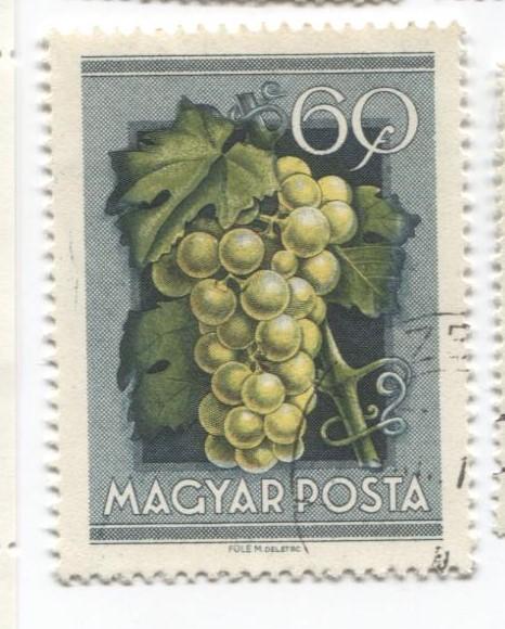 1954 венгрия Сельскохозяйственная выставка.Виноград 1м .гаш