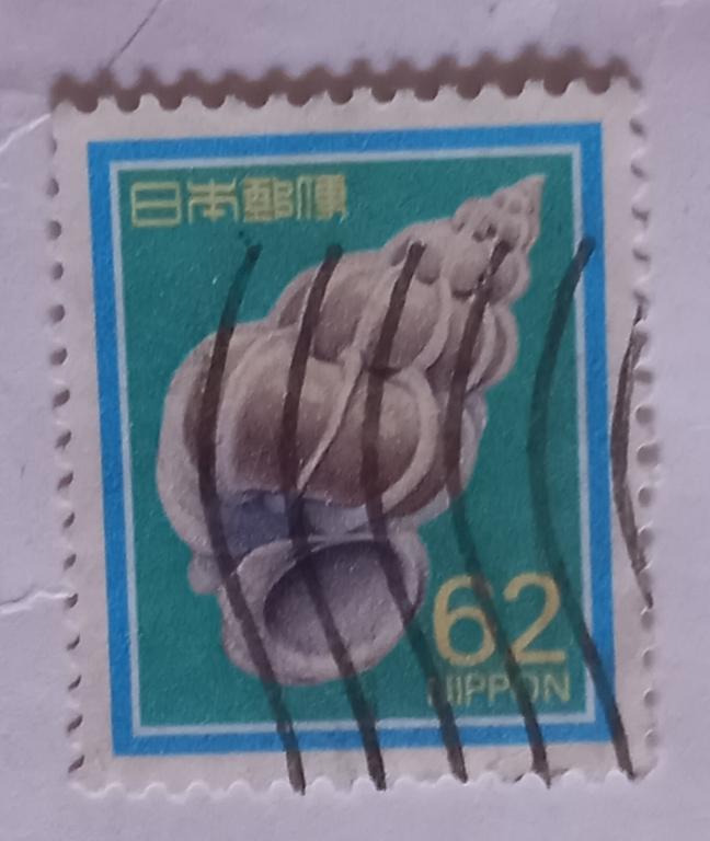 Япония 1989 год Фауна моря Раковина Драгоценная ловушка Гаш 2