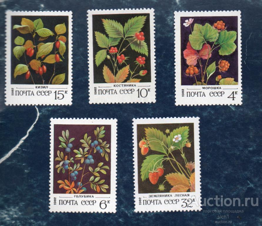 СССР 1982 (А82) Дикорастущие ягоды  **