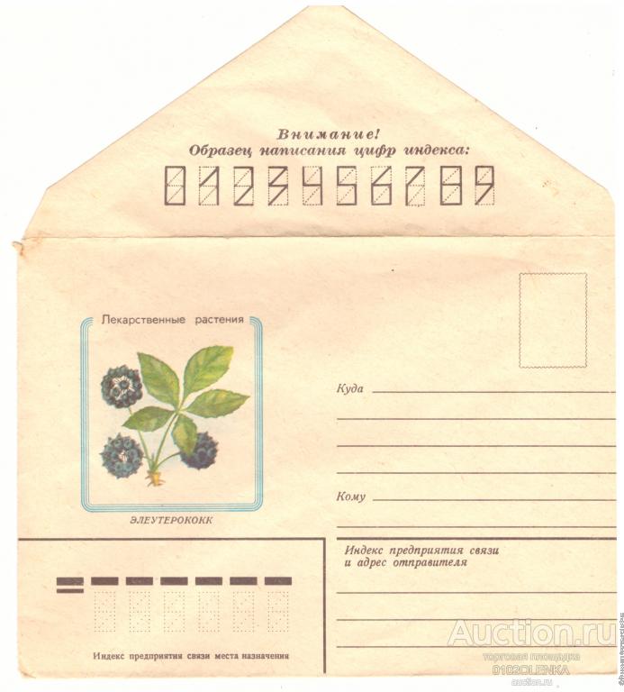 Конверт почты СССР 1982 год Элеутерококк