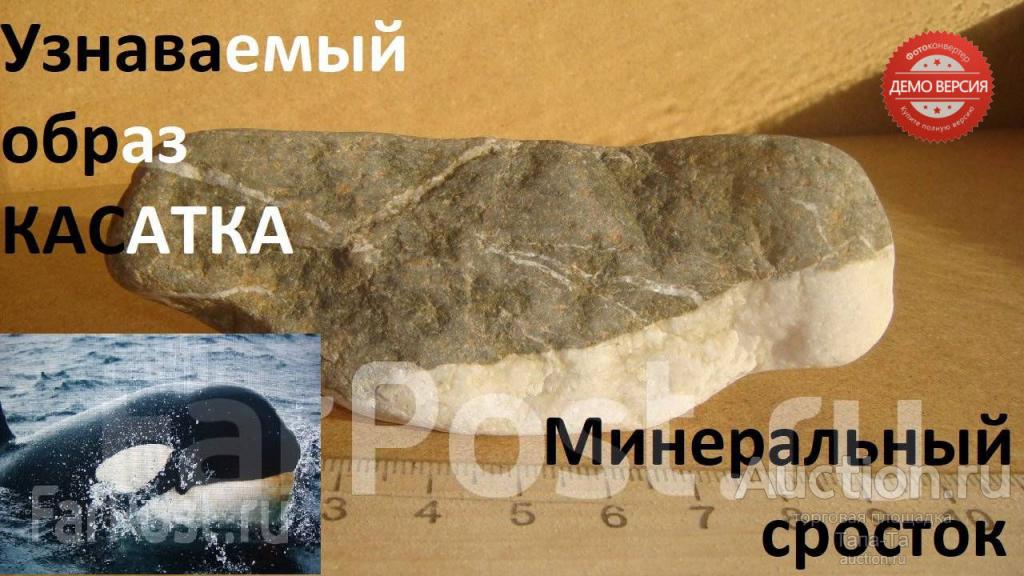 Минеральный сросток 100 миллионов ЛЕТ + Касатка природная статуэтка с белым животиком