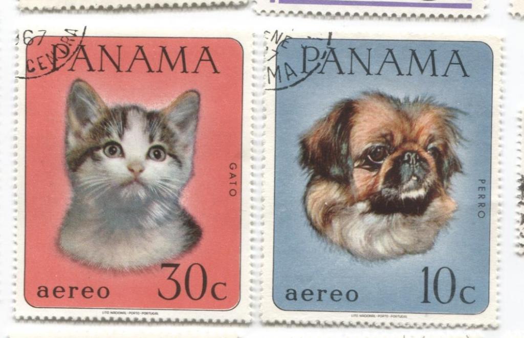 1967 Панама.Кошка и Собака 2м.гаш