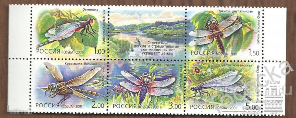 РФ 2001 Фауна. Стрекозы. Сцепка СК № 671-675 