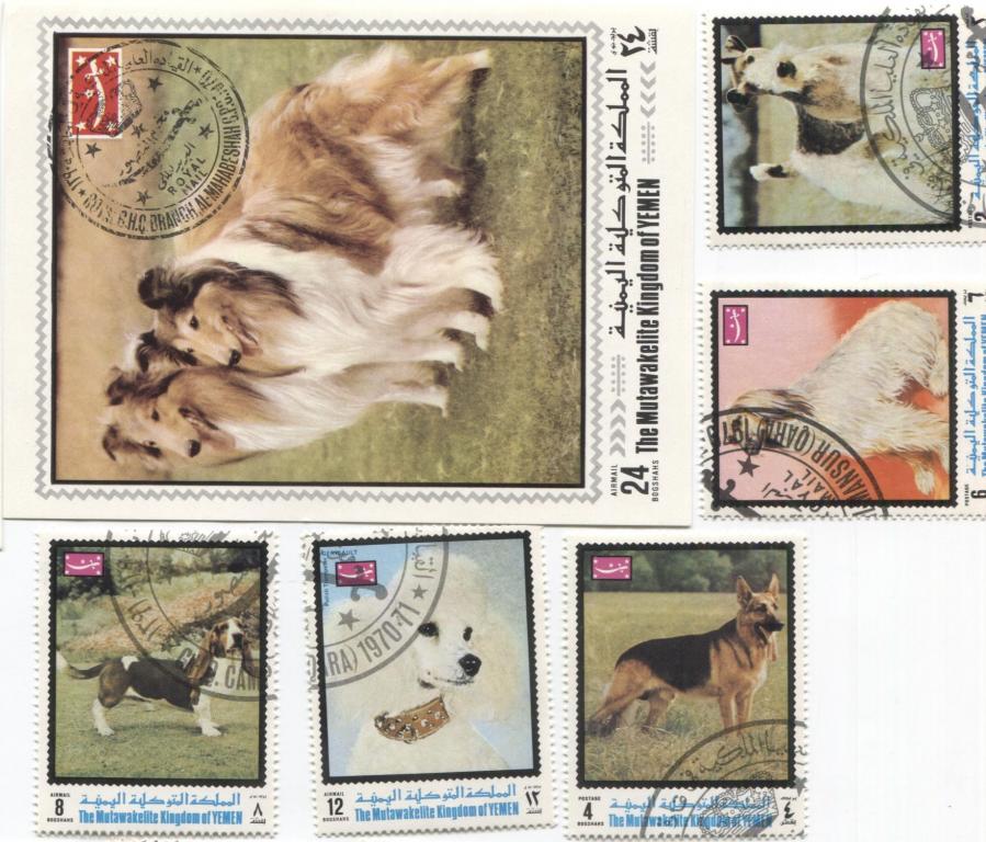 1970 Королевство Йемен СОбаки 5м и блок.гаш
