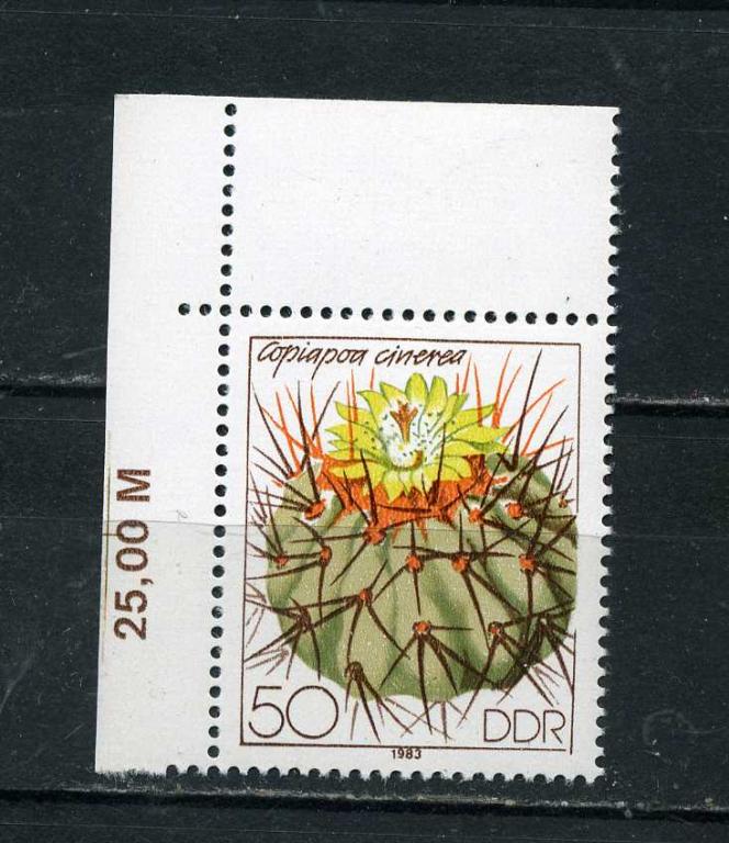 ГДР. Кактусы. Копиапоа синерея. Copiapoa cinerea. 1983**
