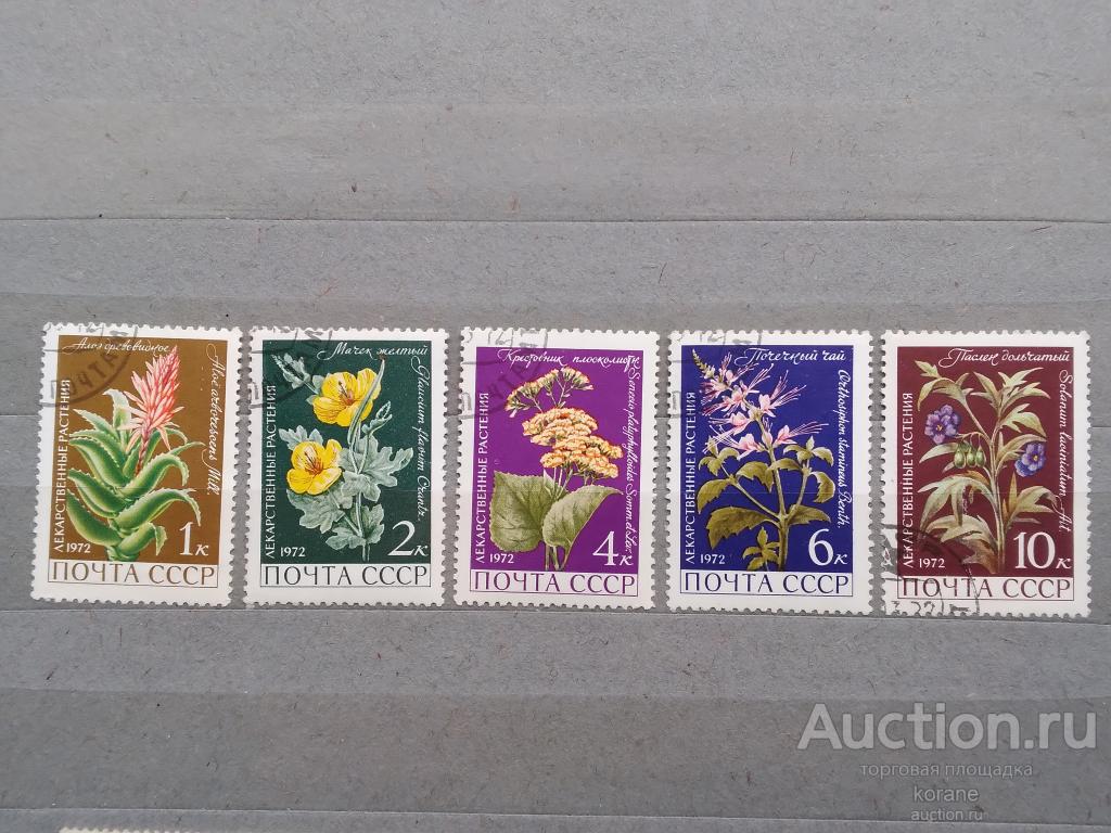 м СССР 1972 год  флора цветы