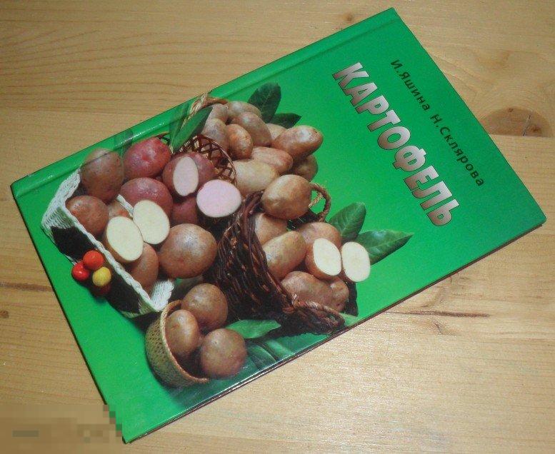Яшина, Склярова. Картофель