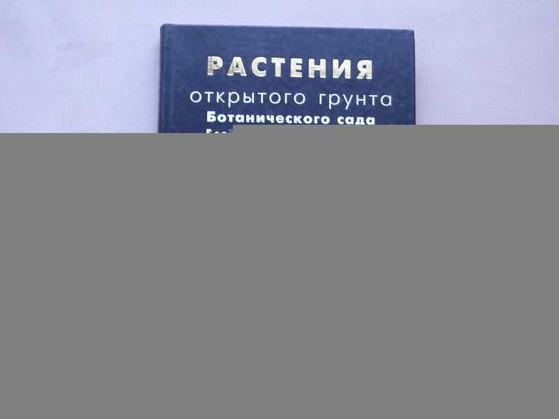 #1664824 Растения открытого грунта Ботанического сада Ботанического института им. В. Л. Комарова