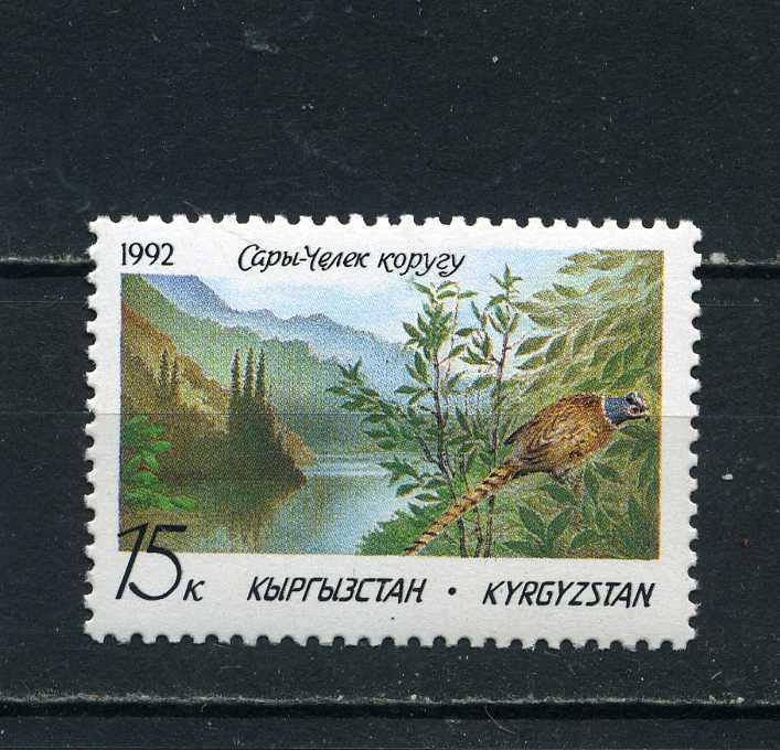 Кыргызстан. Природный заповедник Сары-Челек Птица. 1992.**