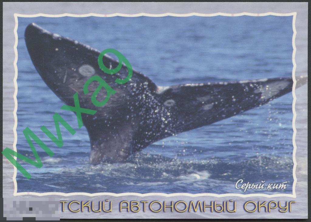2002 ДПК 248 Чукотский автономный округ Чукотка Серый кит Фауна 