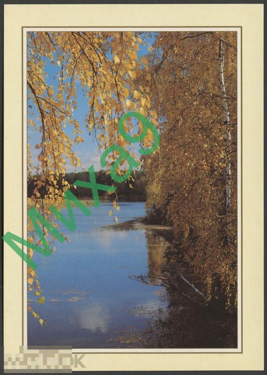 1998 ДПК 100 Осенний пейзаж Поляков Кубасов 