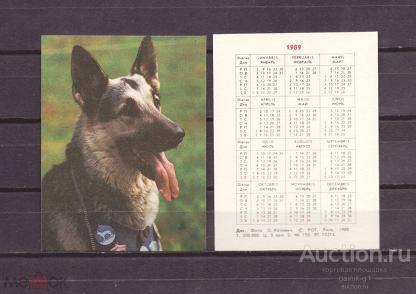 календарик  1989  год   собака   №  6096