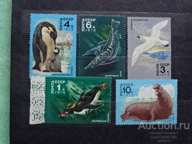 Чистые марки СССР**. Фауна Антарктиды. 1978 г