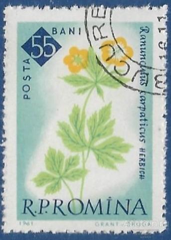 Румыния. 1961. 100 лет Бухарестского ботанического сада. Гашение.