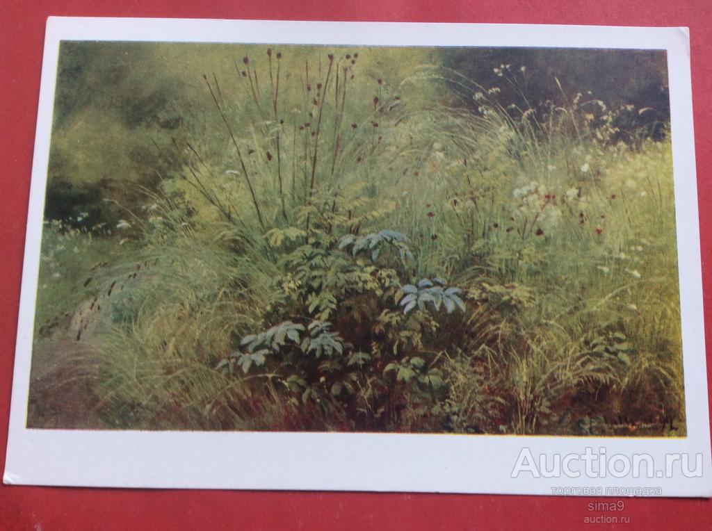 Открытка Шишкин травки пейзаж растения Полевые цветы Ботаника живопись 1958 чистая