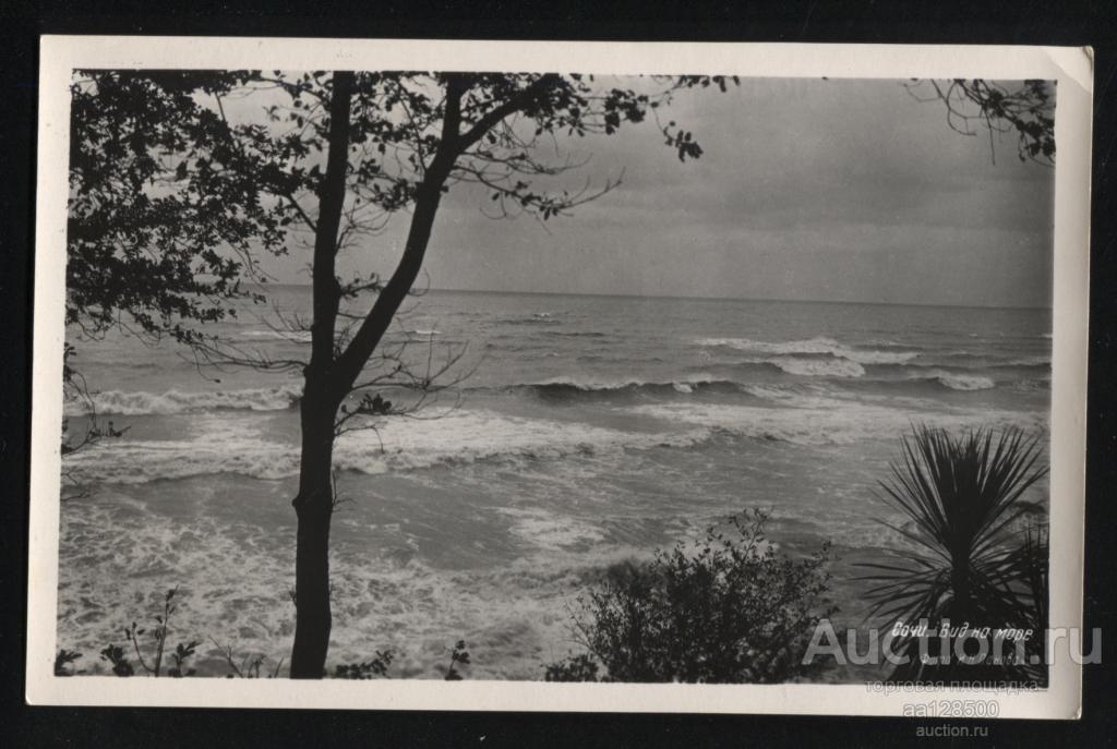 04900 Сочи Вид на море 1958 фото И.Н. Панова
