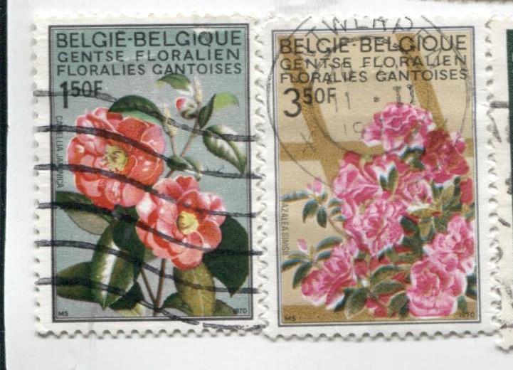 1970 Бельгия Цветы.камелии и Азалии 2м из 3.гаш